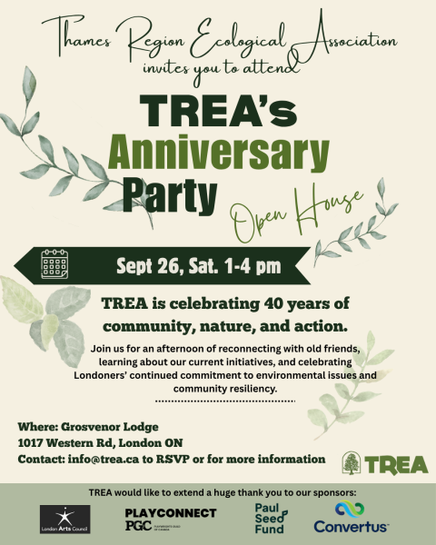 Anniversary Party Poster Official